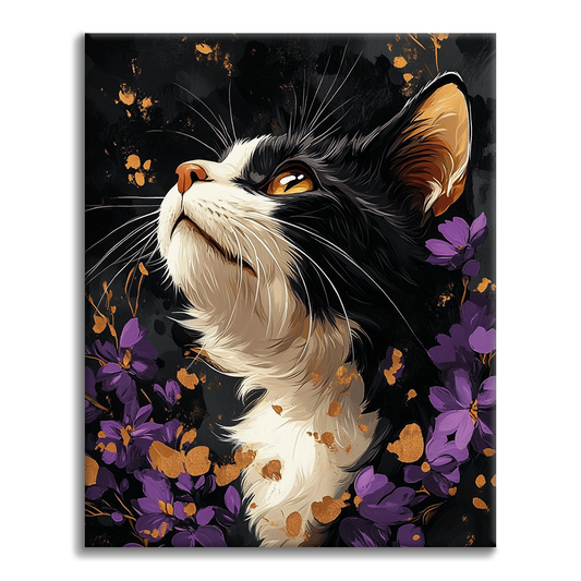 Selkirk Rex - Maalaa numeroilla