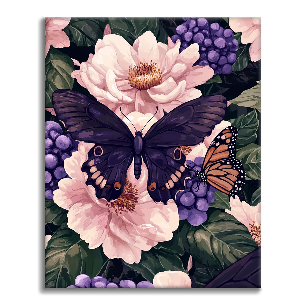 Monarkin Purppura Yömusiikki - Maalaa numeroilla