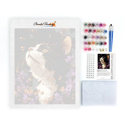 Selkirk Rex - Maalaa numeroilla